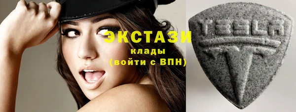 крисы Абаза