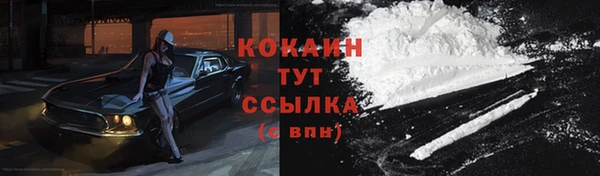 крисы Абаза