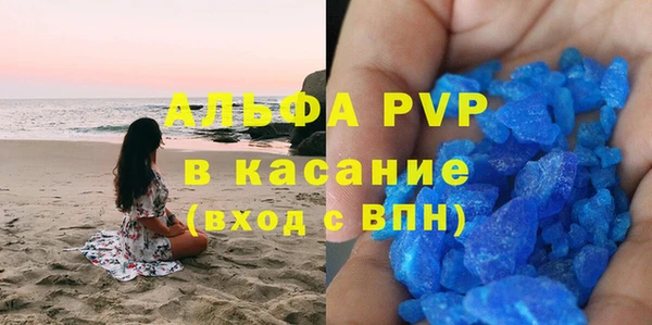 крисы Абаза