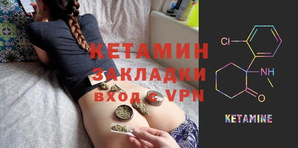 крисы Абаза