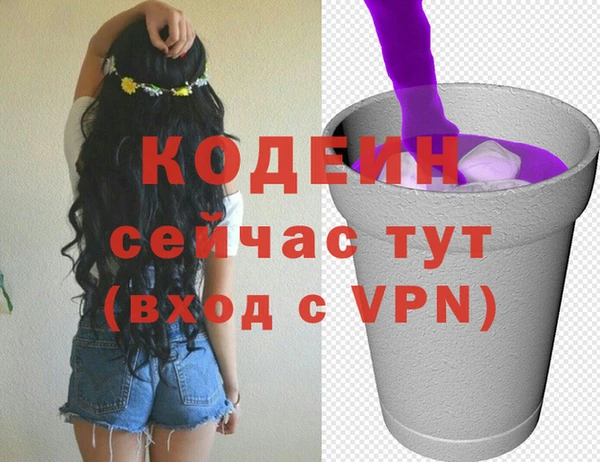 крисы Абаза