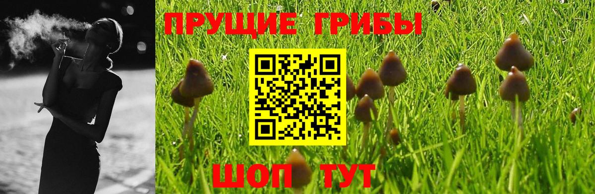 Псилоцибиновые грибы MAGIC MUSHROOMS  где найти наркотики  Шумерля  Галлюциногенные грибы Psilocybine cubensis  Вход с VPN 