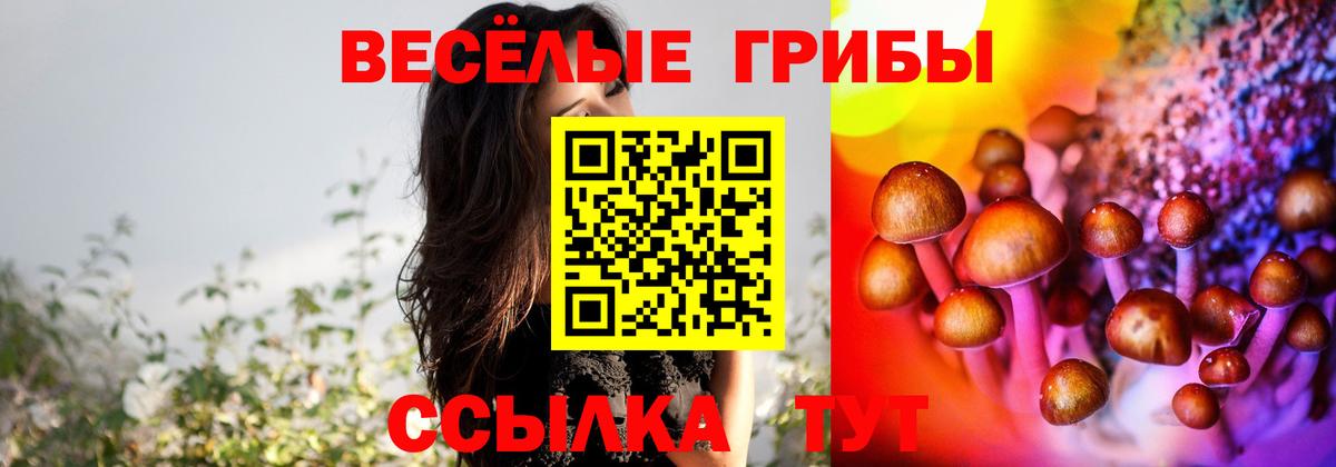 Псилоцибиновые грибы прущие грибы Шумерля